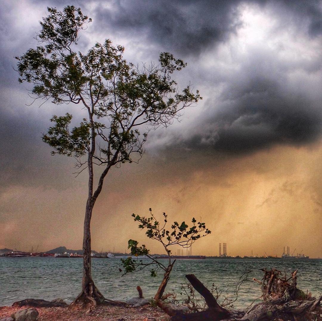 Pantai Marina Batam 9 Pantai Marina Batam 9