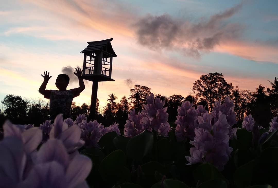 Bak Seperti di Negeri Sakura, Intip Pesona Kalinampu Natural Park Bantul 7