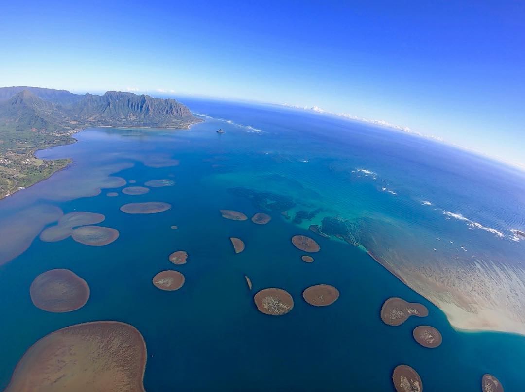 Tak Hanya Pantai, Hawaii Juga Punya 10 Rekomendasi Gunung Dengan Pemandangan Yang Epic 2 Tak Hanya Pantai, Hawaii Juga Punya 10 Rekomendasi Gunung Dengan Pemandangan Yang Epic 2