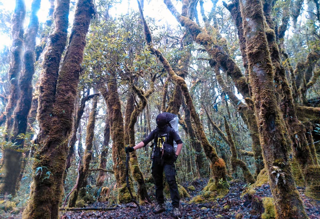 10 Referensi Gunung Favorit Para Pendaki di Daerah Sulawesi Selatan Yang Memiliki Keindahan Luar Biasa 6
