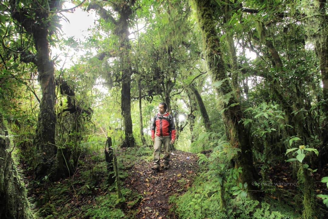 10 Rekomendasi Gunung Berapi di Daerah Bali Yang Masih Aktif Dengan Pesona Indahnya 8 10 Rekomendasi Gunung Berapi di Daerah Bali Yang Masih Aktif Dengan Pesona Indahnya 8
