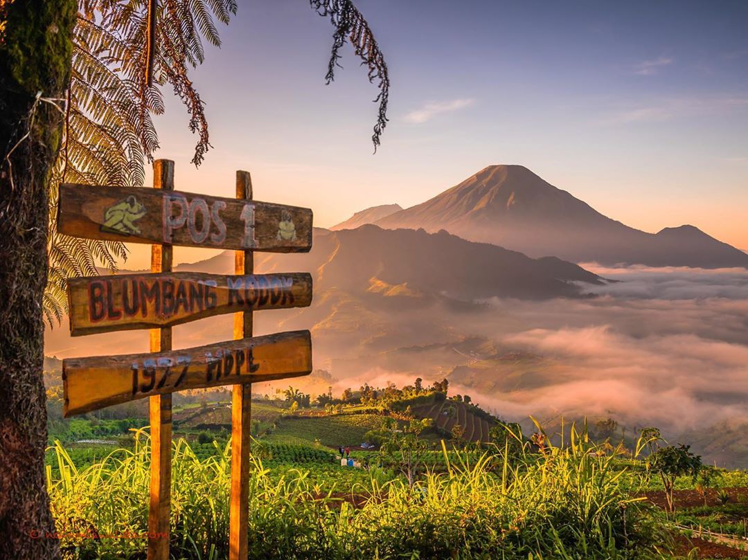 10 Daftar Pilihan Gunung Daerah Semarang Yang Diburu Para Pecinta Alam Untuk Hiking 8