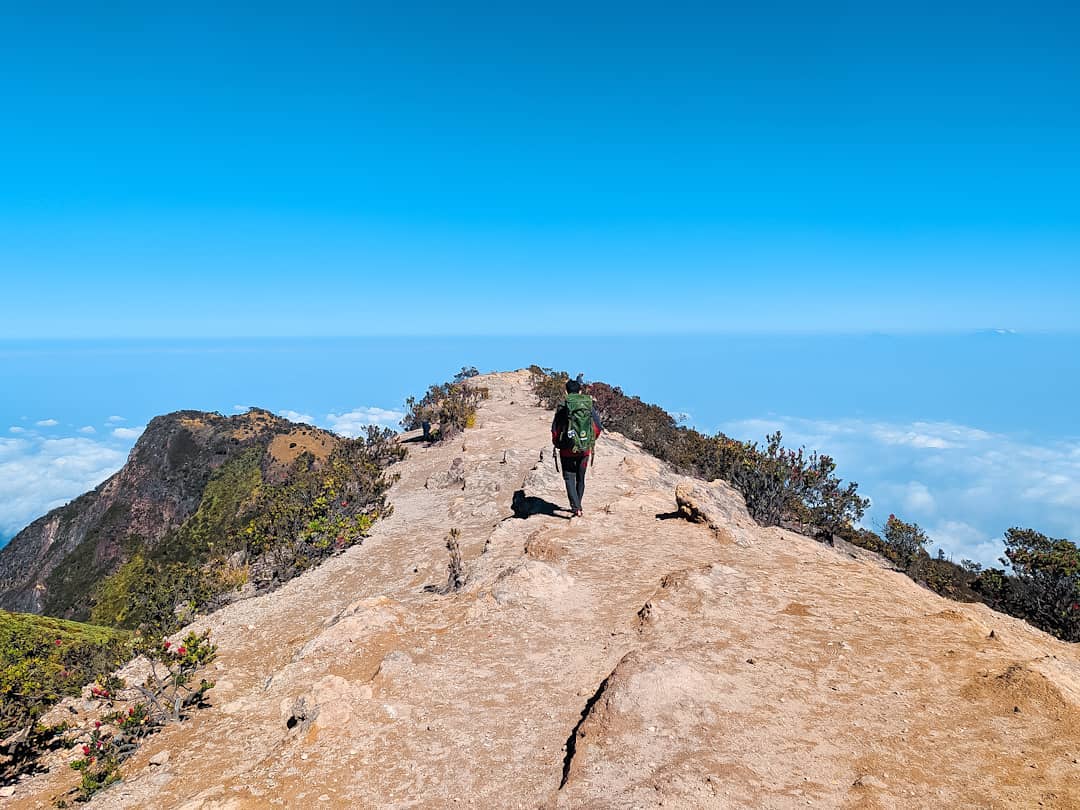 10 Daftar Pilihan Gunung Daerah Semarang Yang Diburu Para Pecinta Alam Untuk Hiking 9