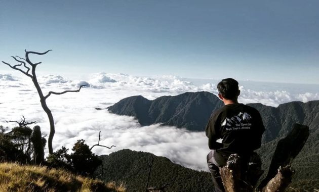 10 Referensi Gunung Favorit Para Pendaki di Daerah Sulawesi Selatan Yang Memiliki Keindahan Luar Biasa 5 10 Referensi Gunung Favorit Para Pendaki di Daerah Sulawesi Selatan Yang Memiliki Keindahan Luar Biasa 3