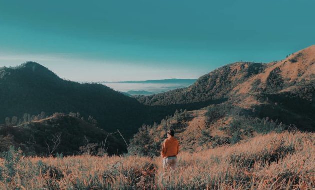 10 Daftar Pilihan Gunung di Sekitar Jakarta, Cocok Buat Kamu Yang Hobi Mendaki 1