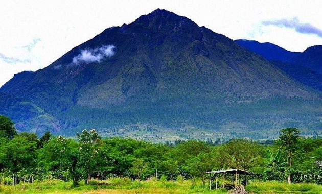 10 Gunung Tertinggi di Aceh, Cagar Alam Leuser Nangroe Darussalam
