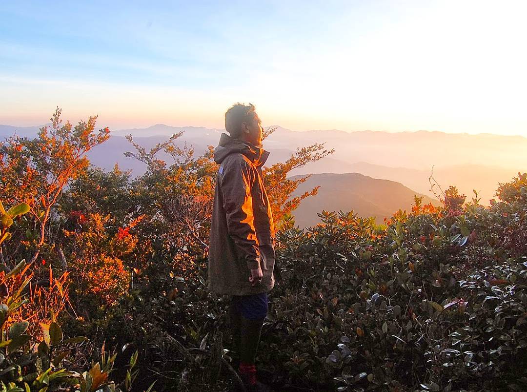 10 Daftar Pilihan Gunung di Malaysia Yang Menjadi favorit Para Pendaki Untuk Menikmati Keindahannya 10