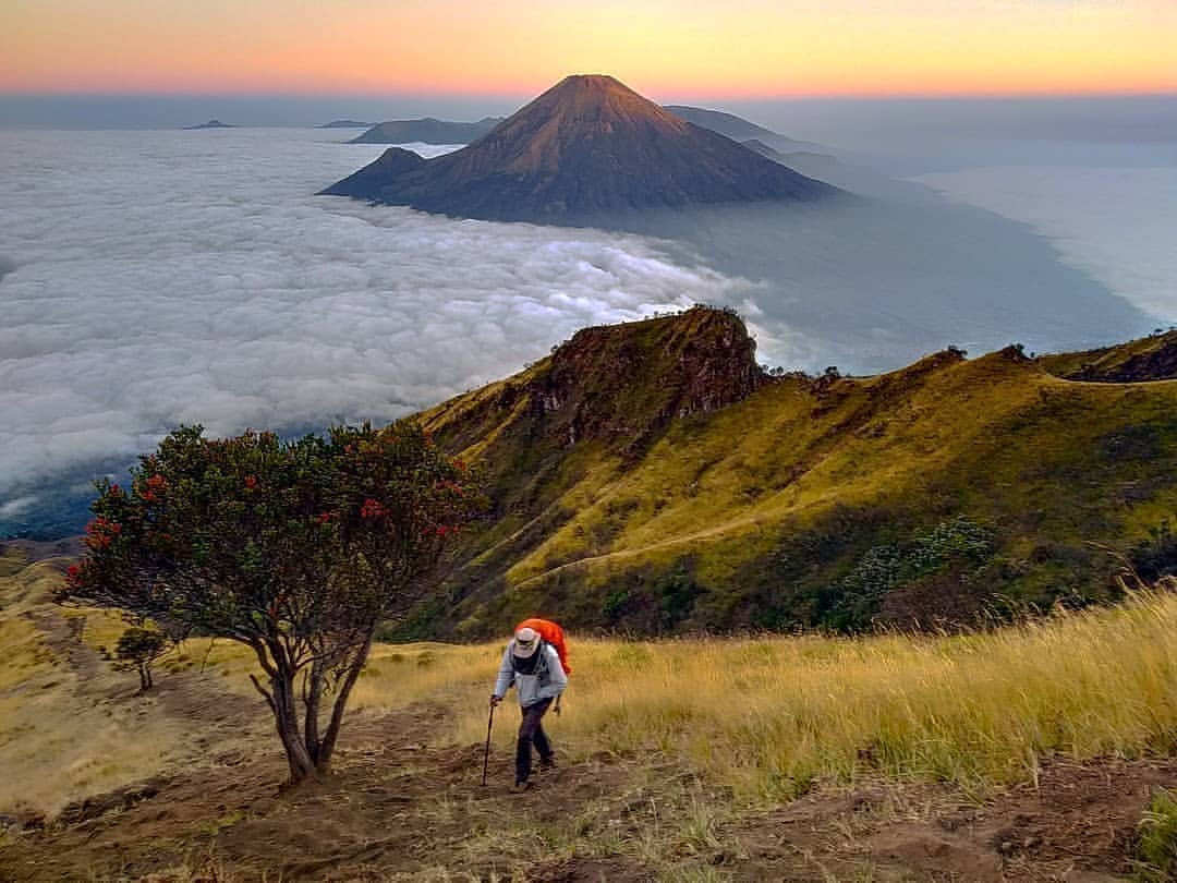 10 Referensi Objek Wisata Gunung di Daerah Wonosobo Yang Punya Pesona Luar Biasa 2