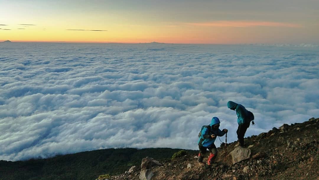 10 Daftar Pilihan Gunung Tertinggi di Pulau Jawa Cocok Buat Spot Pendakian Kalian Para Pencinta Alam 2 10 Daftar Pilihan Gunung Tertinggi di Pulau Jawa Cocok Buat Spot Pendakian Kalian Para Pencinta Alam 2