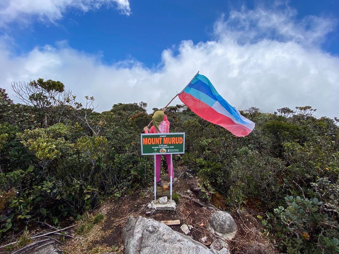 10 Daftar Pilihan Gunung di Malaysia Yang Menjadi favorit Para Pendaki Untuk Menikmati Keindahannya 3