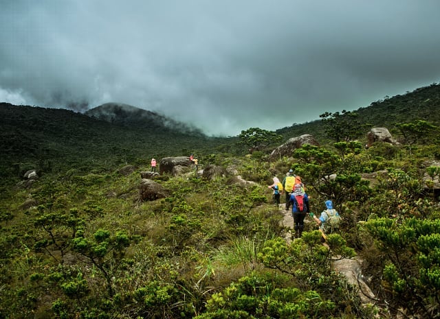Kamu Pendaki Sejati? Coba Taklukkin 10 Rekomendasi Gunung Tertinggi di Negara Malaysia Ini 5