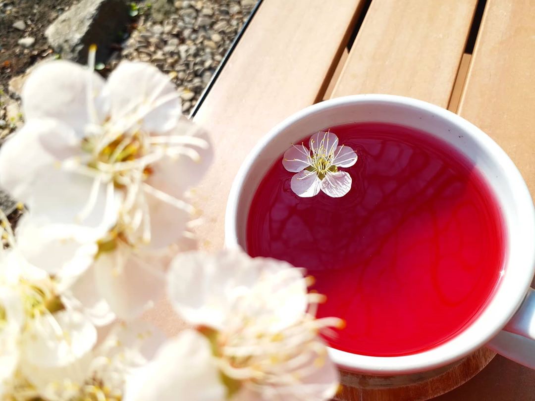 10 Rekomendasi Minuman Favorit Orang Korea Yang Selalu Diincar dan Wajib Untuk Kalian Cicipi 4