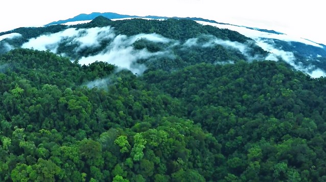 10 Rekomendasi Gunung Tertinggi di Daerah Kalimantan Yang Medannya Cukup Menantang Untuk Kalian Kunjungi 6 10 Rekomendasi Gunung Tertinggi di Daerah Kalimantan Yang Medannya Cukup Menantang Untuk Kalian Kunjungi 6