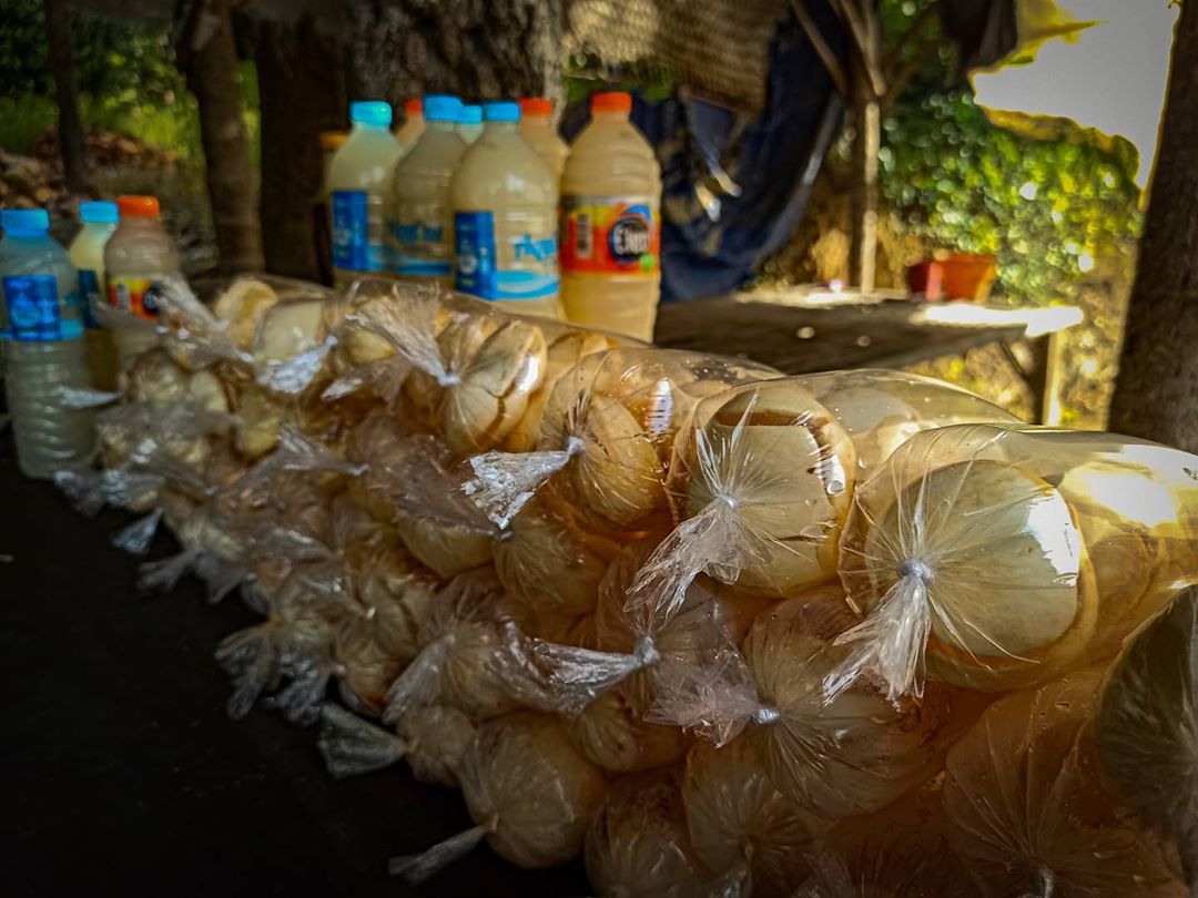 10 Rekomendasi Minuman Khas Pulau Madura Pelega Tenggorokan, Segar dan Menyehatkan Wajib Untuk Dicicipi 5