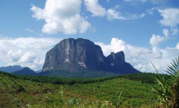 10 Daftar Gunung  Tertinggi  di  Pulau Kalimantan  Daerah 