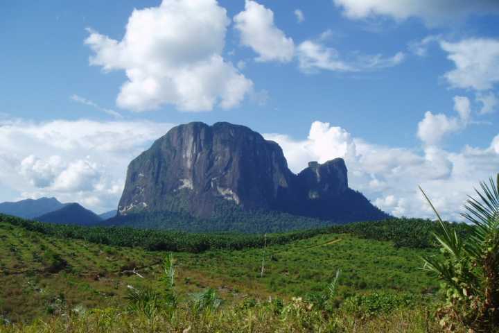 10 Rekomendasi Gunung Tertinggi di Daerah Kalimantan Yang Medannya Cukup Menantang Untuk Kalian Kunjungi 8 10 Rekomendasi Gunung Tertinggi di Daerah Kalimantan Yang Medannya Cukup Menantang Untuk Kalian Kunjungi 8