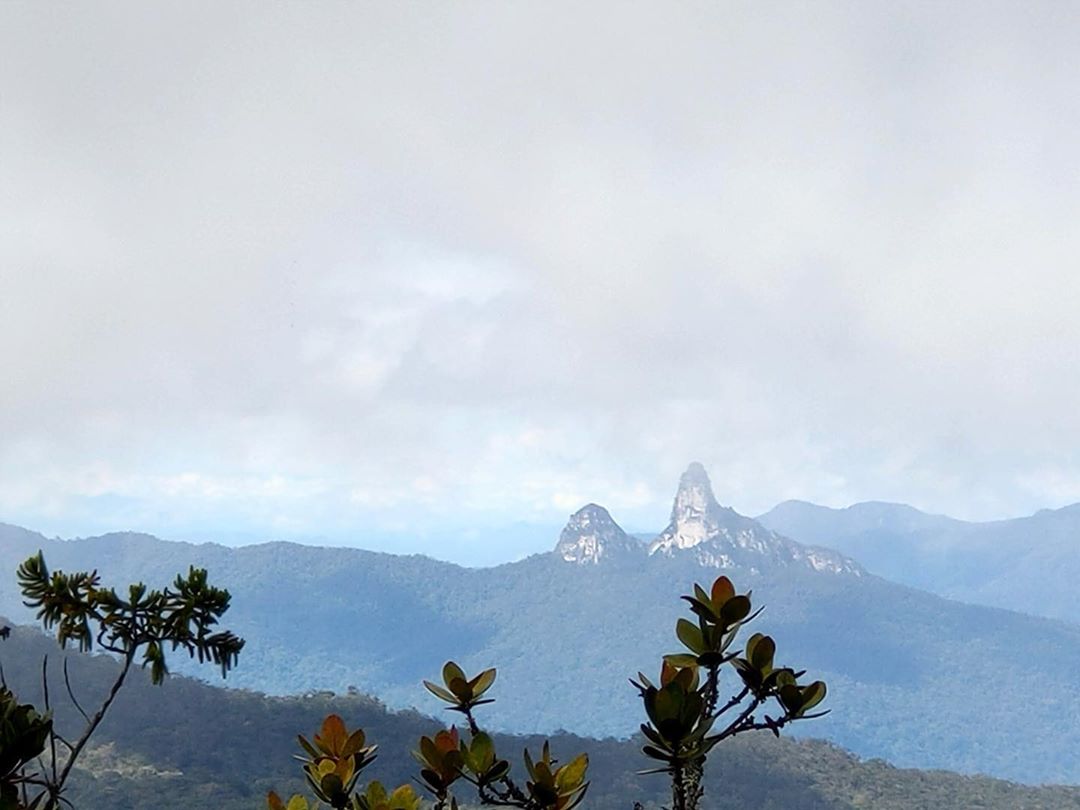 10 Daftar Pilihan Gunung di Malaysia Yang Menjadi favorit Para Pendaki Untuk Menikmati Keindahannya 8