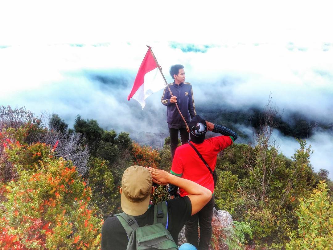 10 Rekomendasi Gunung Tertinggi di Daerah Kalimantan Yang Medannya Cukup Menantang Untuk Kalian Kunjungi 9 10 Rekomendasi Gunung Tertinggi di Daerah Kalimantan Yang Medannya Cukup Menantang Untuk Kalian Kunjungi 9