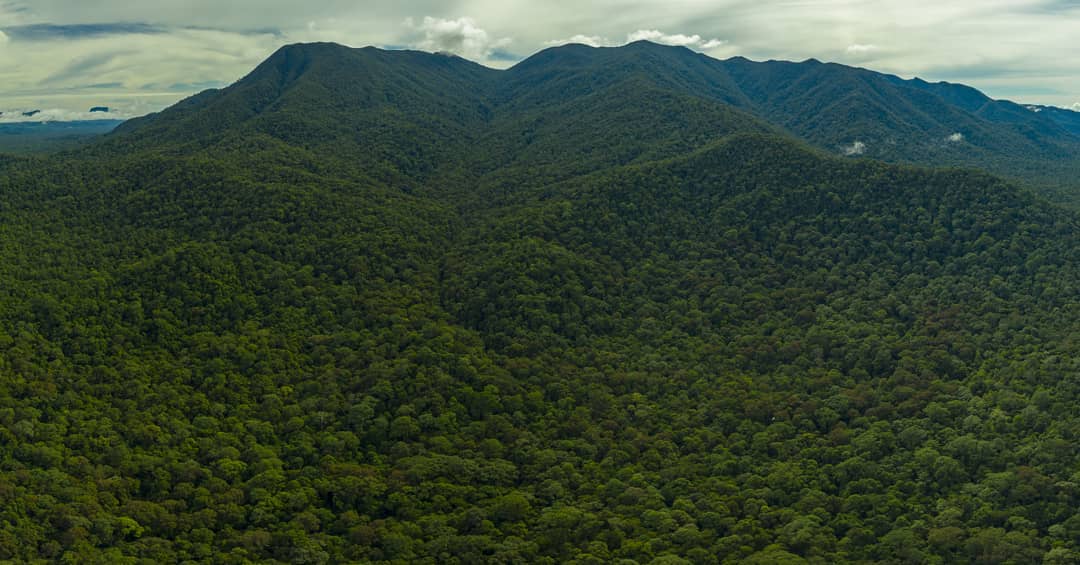10 Daftar Pilihan Gunung di Daerah Kalimantan Yang Siap Memanjakan Mata Dengan Keindahannya 9 10 Daftar Pilihan Gunung di Daerah Kalimantan Yang Siap Memanjakan Mata Dengan Keindahannya 9