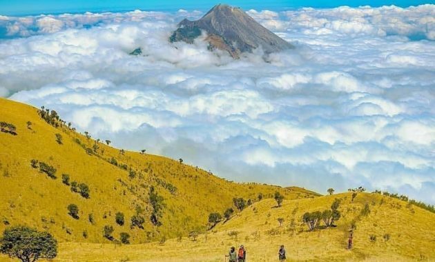 10 Referensi Objek Wisata Gunung di Daerah Wonosobo Yang Punya Pesona Luar Biasa 2