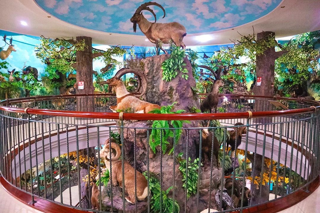 10 Tempat Foto Instagramable di Daerah Medan Yang Cocok Untuk Menemani Liburanmu! 4 10 Tempat Foto Instagramable di Daerah Medan Yang Cocok Untuk Menemani Liburanmu! 4