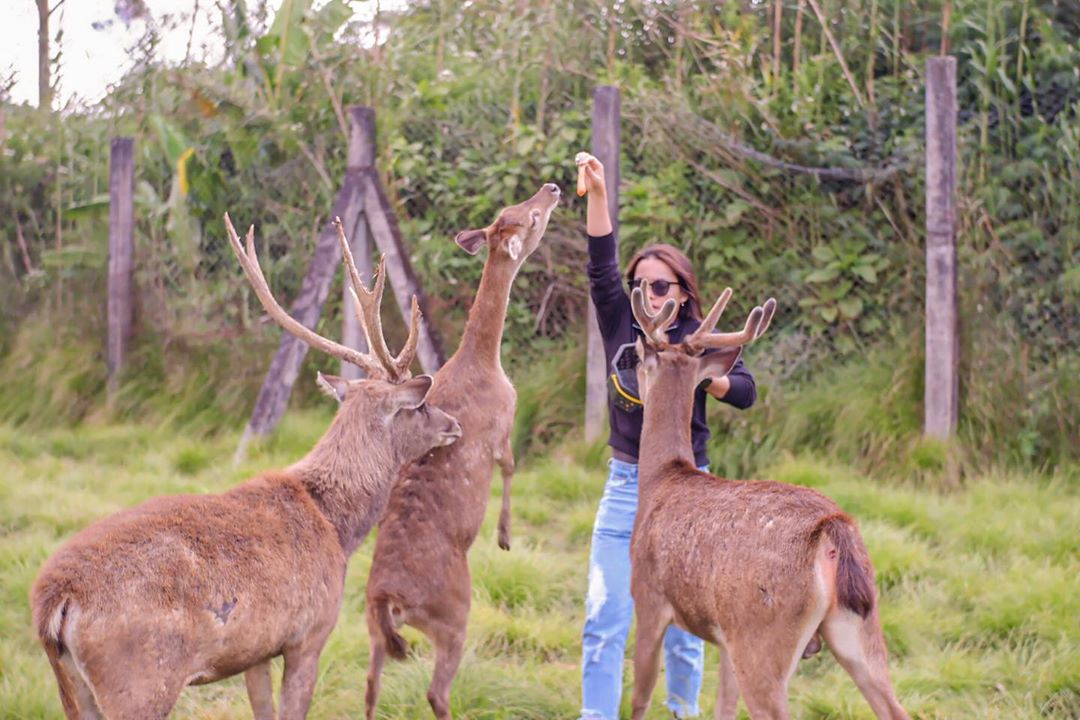 10 Daftar Pilihan Tempat Main di Daerah Bandung Yang Instagramable Ini Cocok Untuk Mempercantik Feedsmu 2