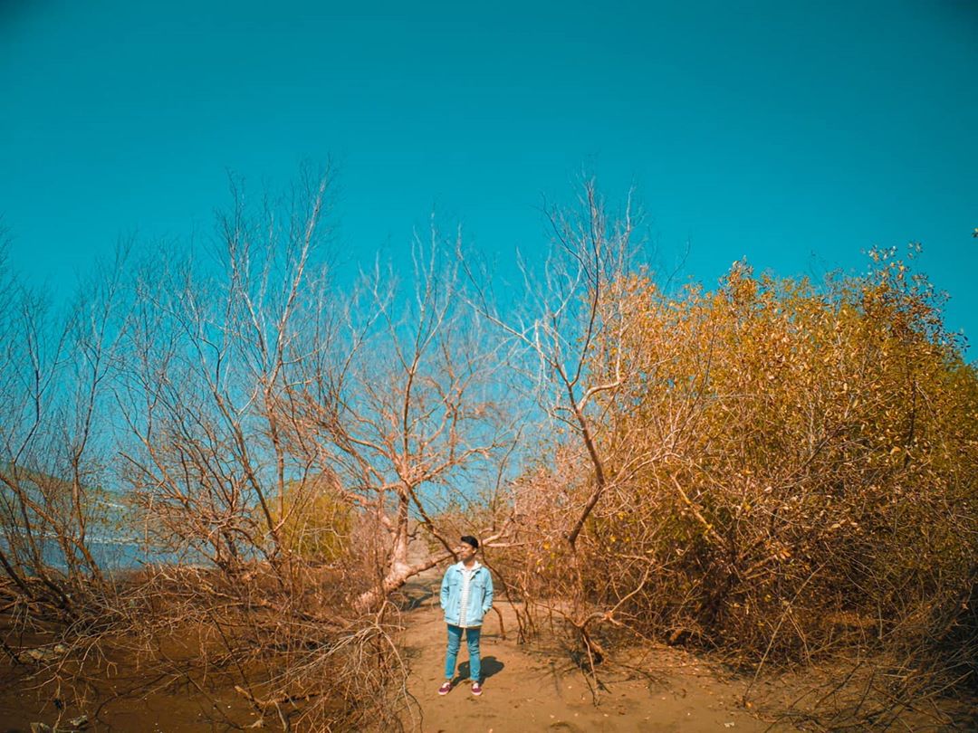 10 Tempat Foto Instagramable di Daerah Bekasi Yang Hits dan Bikin Kagum Sambil Nongkrong 3