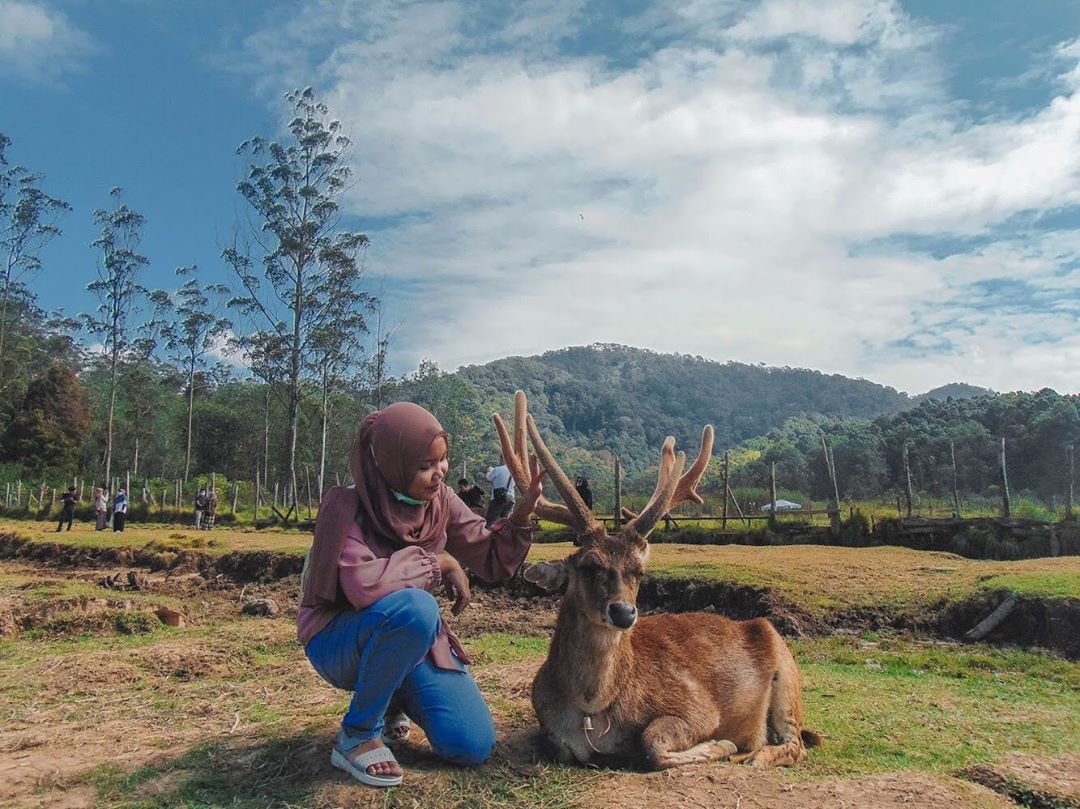 10 Tempat Instagramable di Bandung Yang Terbaru dan Murah Untuk Menemani Akhir Pekanmu! 4