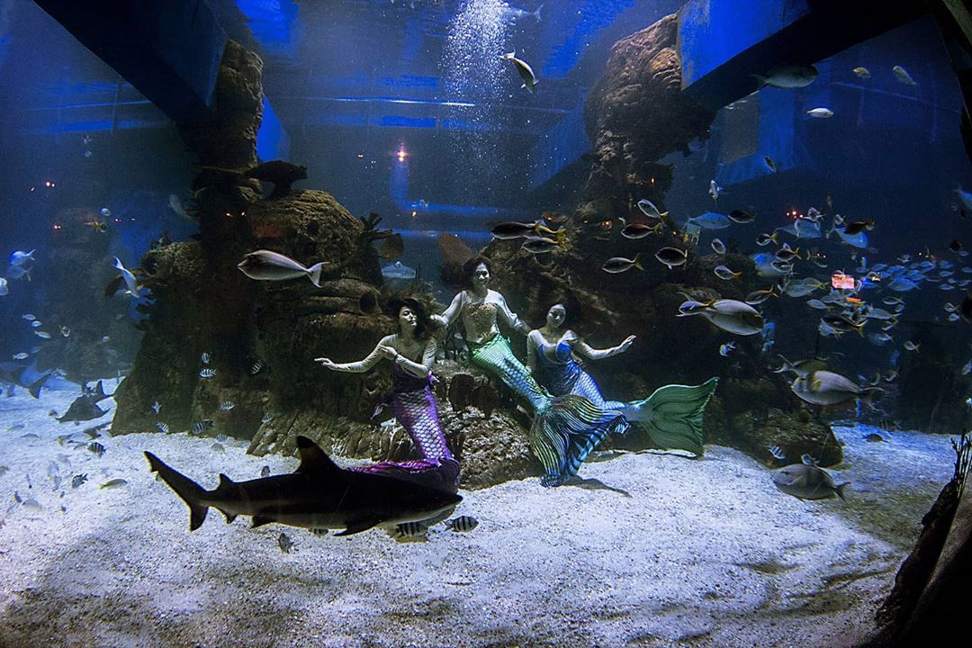 10 Rekomendasi Tempat Wisata Yang Instagramable di Daerah Jakarta, Cocok Untuk Photo Hunting! 5 10 Rekomendasi Tempat Wisata Yang Instagramable di Daerah Jakarta, Cocok Untuk Photo Hunting! 5