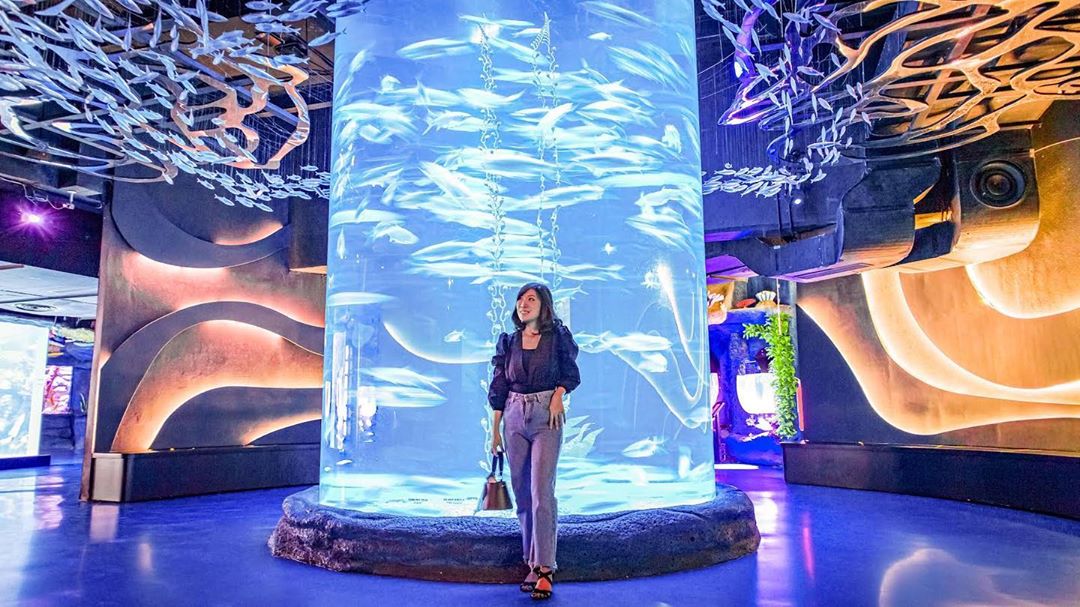 10 Daftar Pilihan Tempat Romantis di Daerah Jakarta Barat Untuk Malam Mingguan Cocok Kalian Kunjungi 3