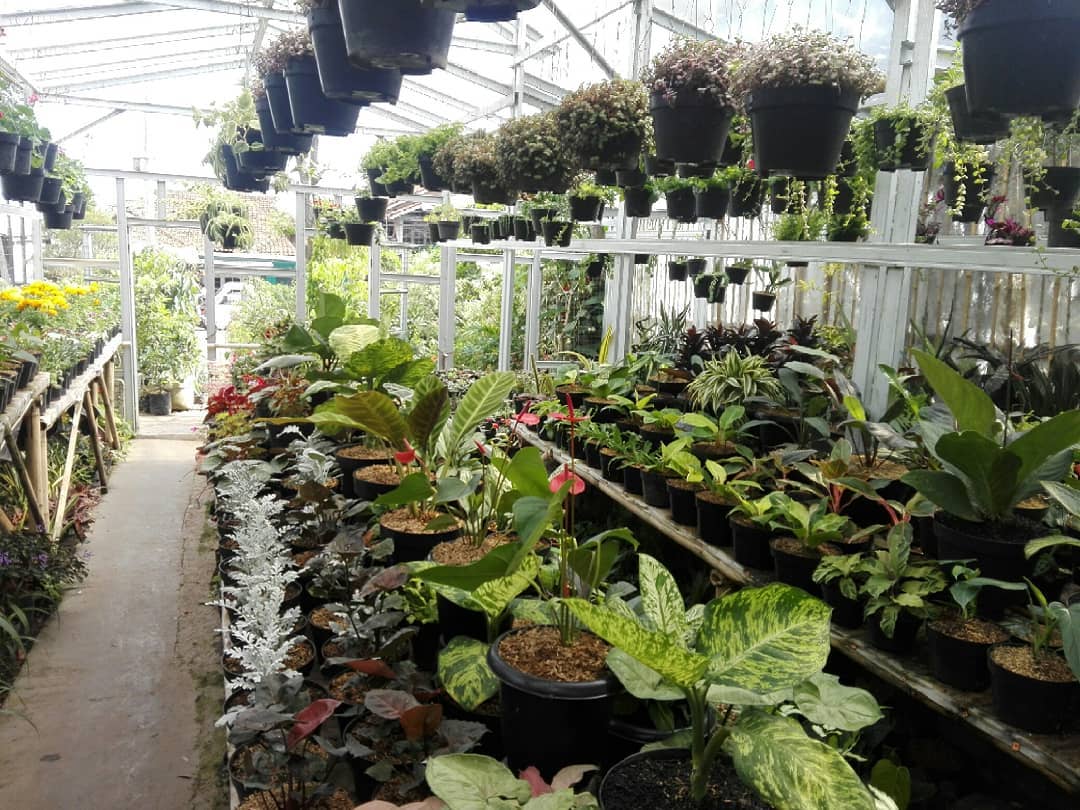 10 Daftar Pilihan Tempat Romantis di Daerah Cimahi, Cocok Untuk Kencan Berdua Bareng Pasangan 3