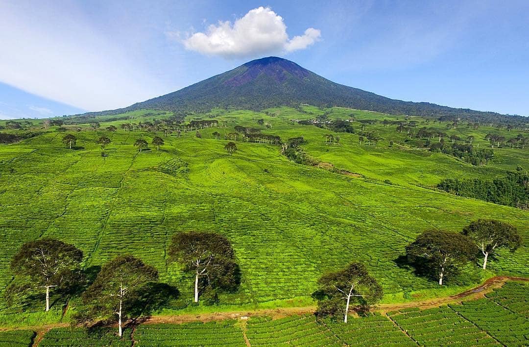 10 Rekomendasi Tempat Romantis di Daerah Palembang, Cocok Untuk Kalian Kunjungi Bareng Pasangan 4