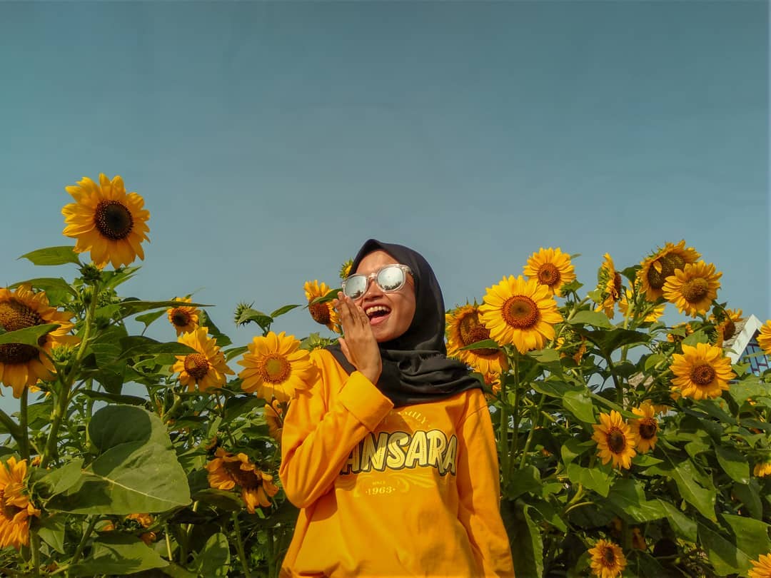 10 Daftar Pilihan Tempat Pacaran di Daerah Jogja, Cocok Untuk Liburan Dengan Pasangan 5