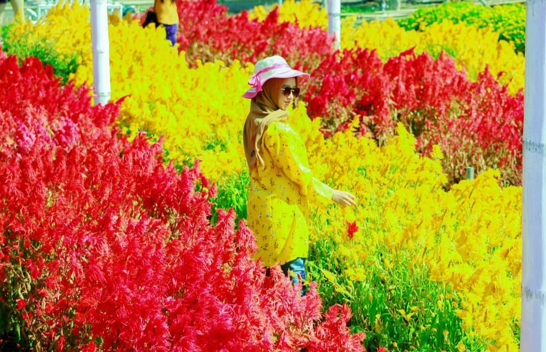 10 Daftar Pilihan Tempat Romantis di Daerah Jogja Siang Hari Buat Pacaran, Wajib Kalian Kunjungi! 5