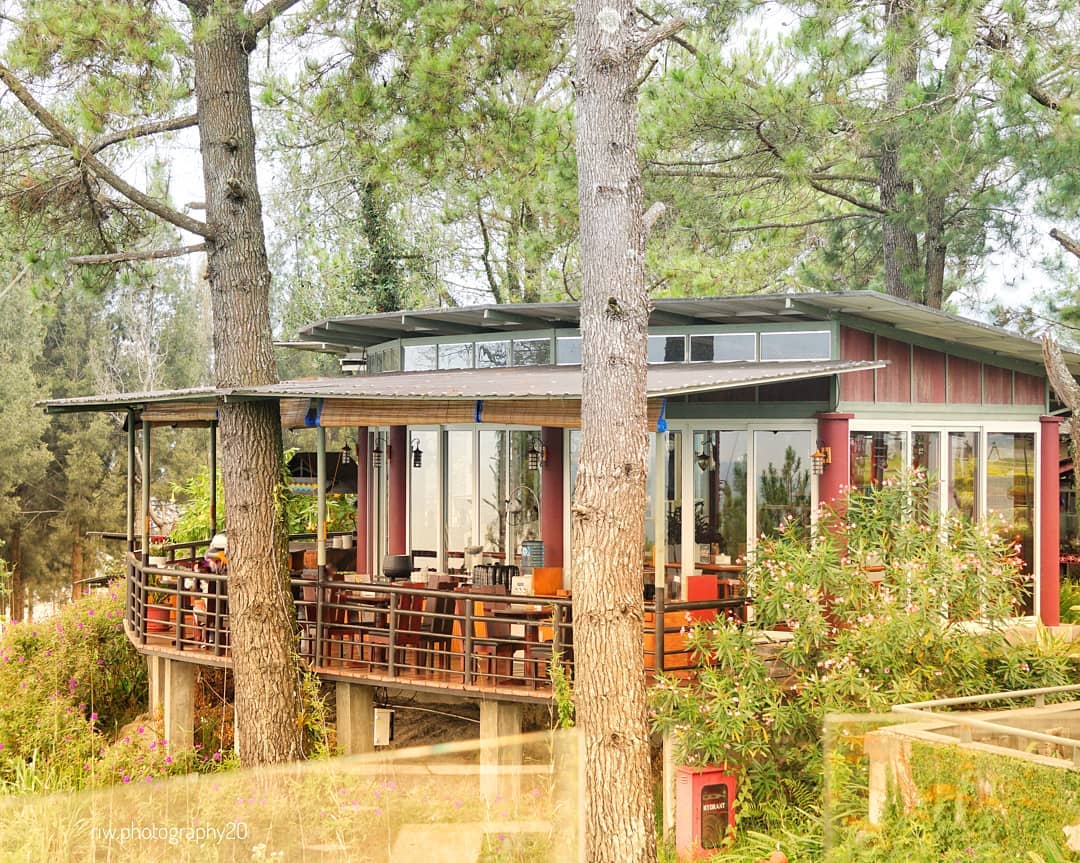 10 Daftar Pilihan Tempat Pacaran di Daerah Medan, Bisa Untuk Malam Mingguan Dengan Pasangan 8 10 Daftar Pilihan Tempat Pacaran di Daerah Medan, Bisa Untuk Malam Mingguan Dengan Pasangan 8