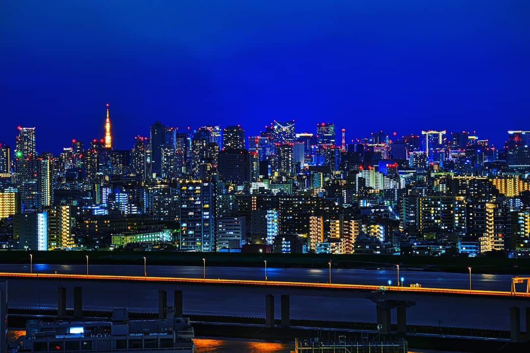 Potret Keindahan Tokyo Dari Pagi Hari Hingga Malam Hari, Salah Satu Kota Metropolitan di Dunia 5