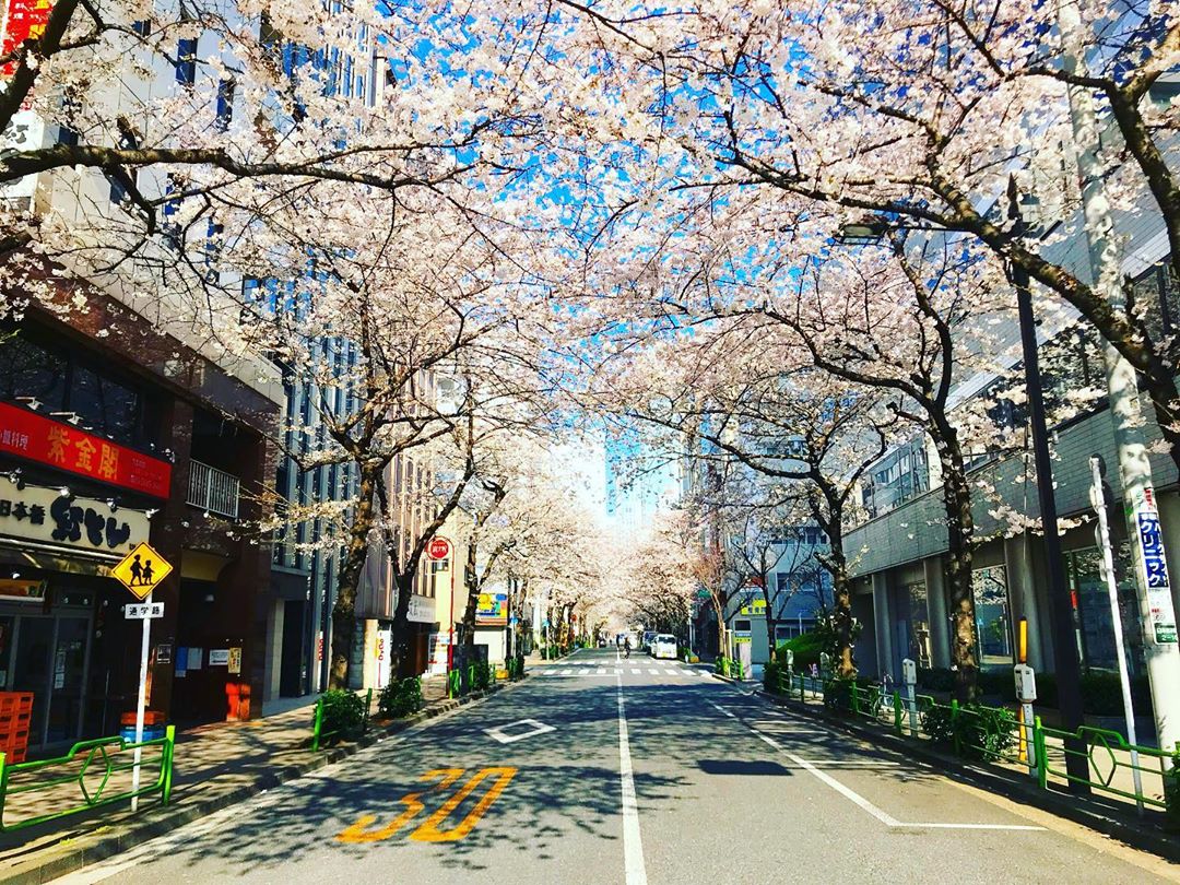 Potret Keindahan Tokyo Dari Pagi Hari Hingga Malam Hari, Salah Satu Kota Metropolitan di Dunia 3