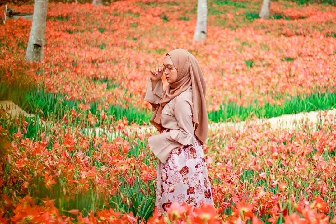 Mengintip Keindahan Kota Bogor Jaman Dulu dan Sekarang, Simak Beberapa Potret Berikut Ini 7