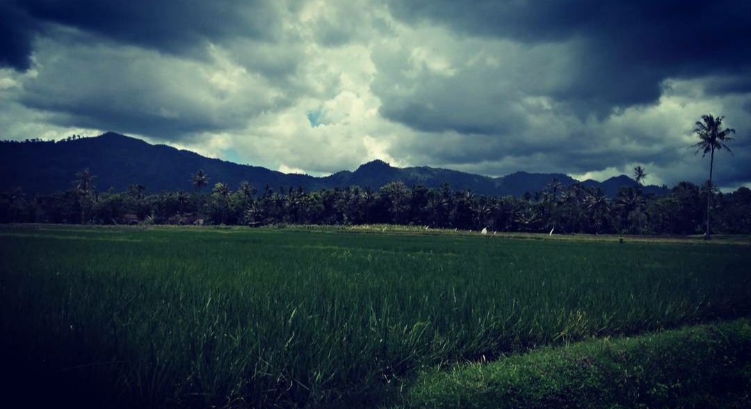 10 Daftar Pilihan Gunung di Sekitar Jember, Favorit Para Pendaki dan Memiliki Keindahan Luar Biasa 1 10 Daftar Pilihan Gunung di Sekitar Jember, Favorit Para Pendaki dan Memiliki Keindahan Luar Biasa 1