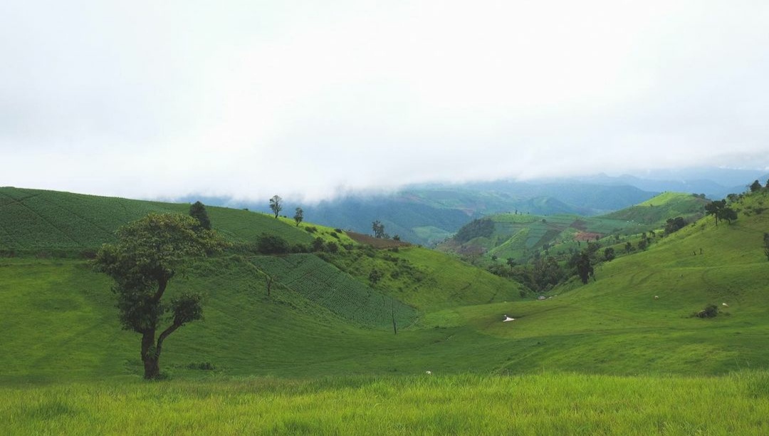 10 Daftar Pilihan Gunung Tertinggi di Thailand, Yang Ada Kuilnya dan Sangat Indah 4