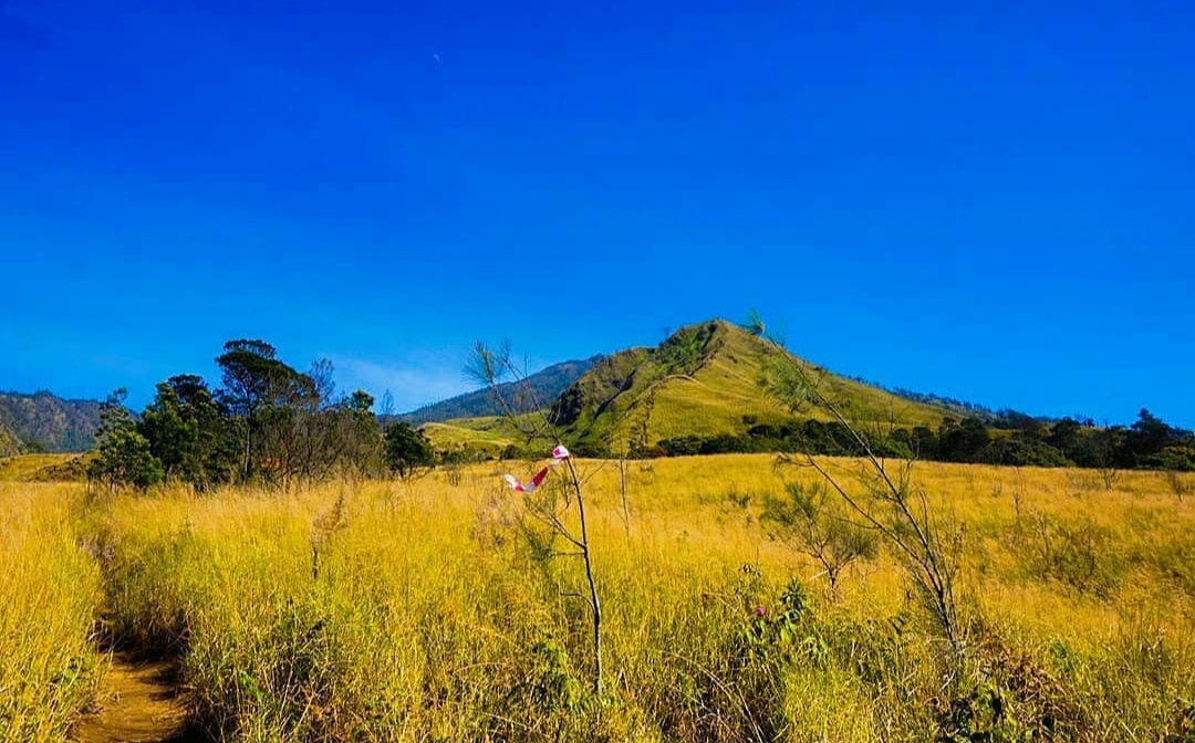 10 Daftar Pilihan Gunung di Sekitar Jember, Favorit Para Pendaki dan Memiliki Keindahan Luar Biasa 9 10 Daftar Pilihan Gunung di Sekitar Jember, Favorit Para Pendaki dan Memiliki Keindahan Luar Biasa 9