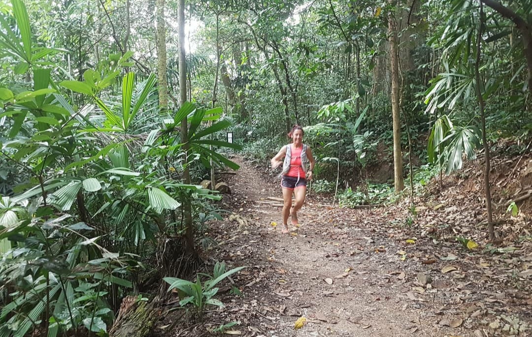 Bukit Timah, Daftar Pilihan Gunung Mini Yang Menjadi Puncak Tertinggi di Singapura 6