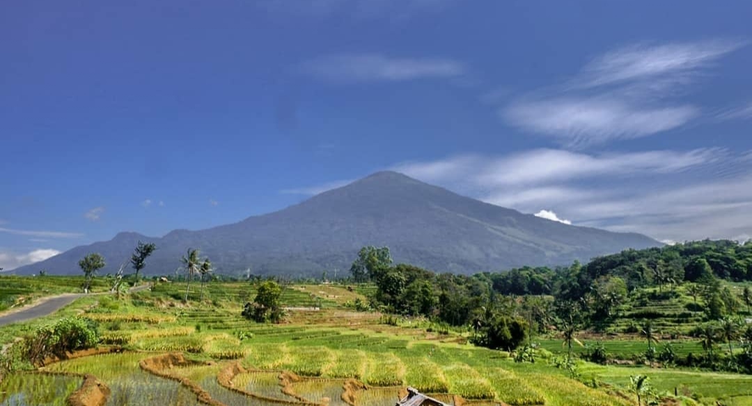 6 Daftar Pilihan Gunung di Daerah Cirebon, Ada Yang Menjadi Tuan Rumah Edelweis 1 6 Daftar Pilihan Gunung di Daerah Cirebon, Ada Yang Menjadi Tuan Rumah Edelweis 1