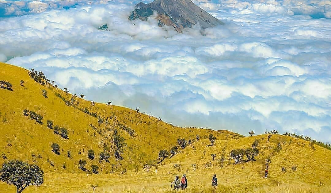 6 Daftar Pilihan Gunung di Sekitar Solo, Buat Kamu Pecinta Hiking dan Bikin Betah 7 6 Daftar Pilihan Gunung di Sekitar Solo, Buat Kamu Pecinta Hiking dan Bikin Betah 7