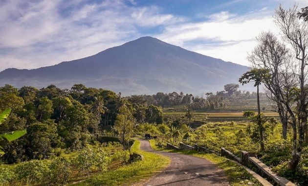 6 Daftar Pilihan Gunung di Daerah Cirebon, Ada Yang Menjadi Tuan Rumah Edelweis 3