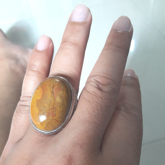 10 Batu Fosil Kayu Termahal Beserta Harganya 1