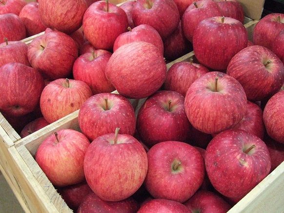 10 Buah Termahal di Dunia, Ada Yang Seharga Mobil! 9