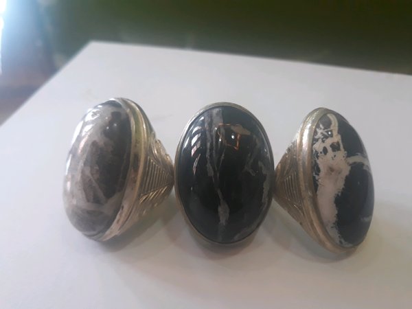 10 Batu Fosil Kayu Termahal Beserta Harganya 2