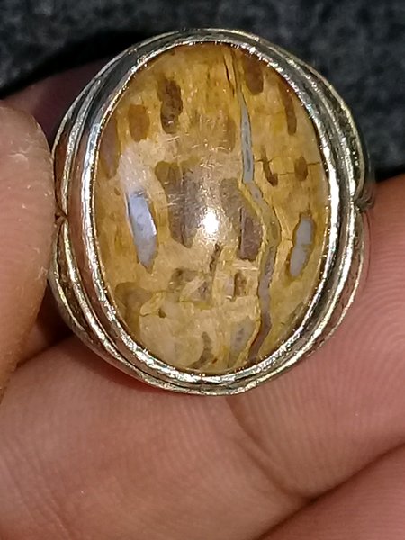 10 Batu Fosil Kayu Termahal Beserta Harganya 9