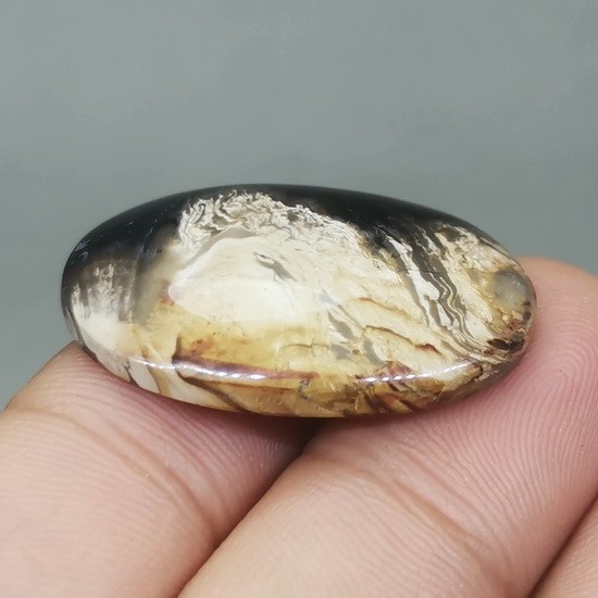 10 Batu Fosil Kayu Termahal Beserta Harganya 4